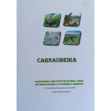 Carnaubeira (SOUZA NETO, Simpliciano Eustaquilino de; SILVA, Valneide Rodrigues da)