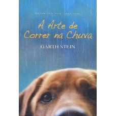 A Arte de Correr na Chuva (STEIN, Garth)